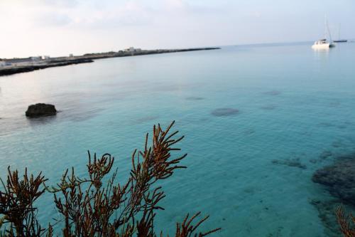 a large body of water with a boat in it at Casa dei Mulini in Favignana