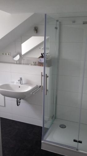 a bathroom with a sink and a glass shower at Weindepot Xanten in Xanten