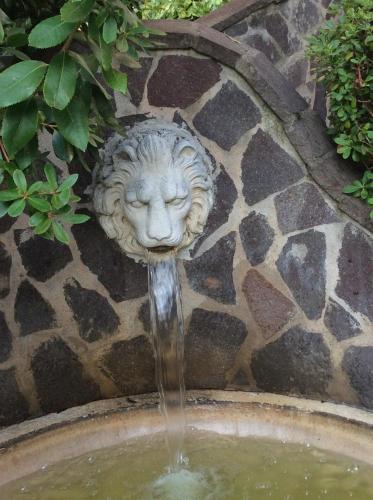 a fountain with a lion head with water coming out at Venice Palace Hotel in Mirano