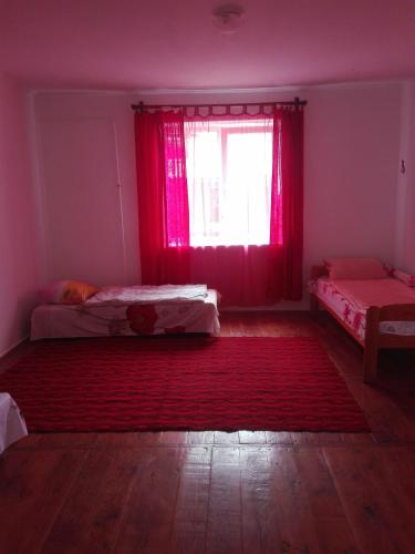 Svidova的住宿－HALEX5，客房设有两张床和一个带红色窗帘的窗户。