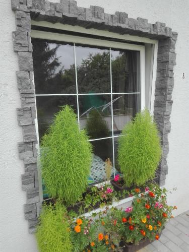 a window with plants in a window box at Apartmany ALEX in Malé Dvorany