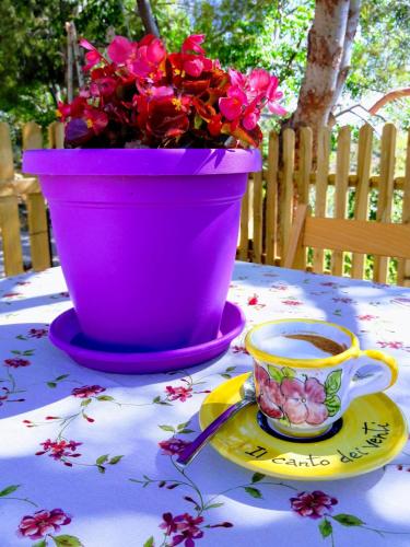 Foto dalla galleria di Il Canto Dei Venti a Montecorice