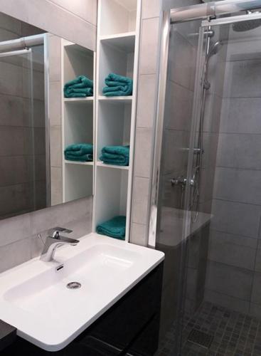 La salle de bains est pourvue d'un lavabo, d'une douche et de serviettes bleues. dans l'établissement Appartement sur l’ile de Saumur, à Saumur