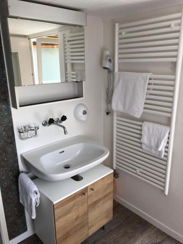 a bathroom with a sink and a mirror at Hotel Restaurant Simplon in Frutigen