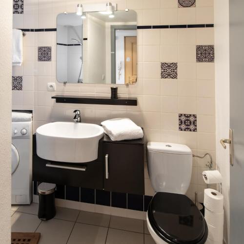 a bathroom with a sink and a toilet and a mirror at My Sweet Homes - Le 15 in Colmar