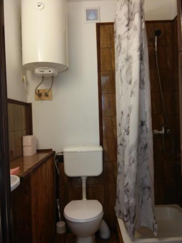 a bathroom with a toilet and a shower curtain at Zbójnicki Ostęp-Nocleg Trapera in Kletno