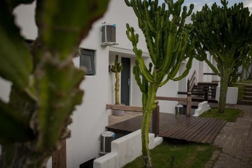 a view of a building with cacti in front of it at Greco Hotel in Búzios