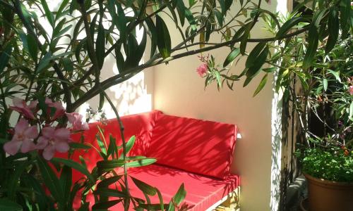 Jardín al aire libre en Gästehaus Elfriede