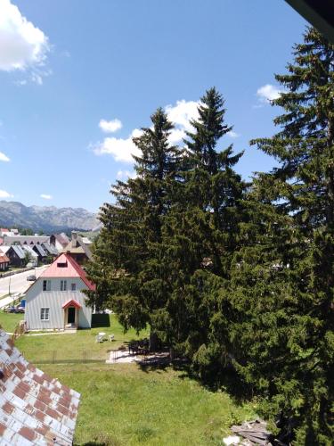 two trees on a hill with a house in the background at Apartments Durmitor in Žabljak