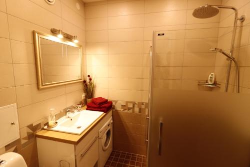 uma casa de banho com um lavatório, um espelho e um chuveiro em Akord Apartment Centrum em Pärnu
