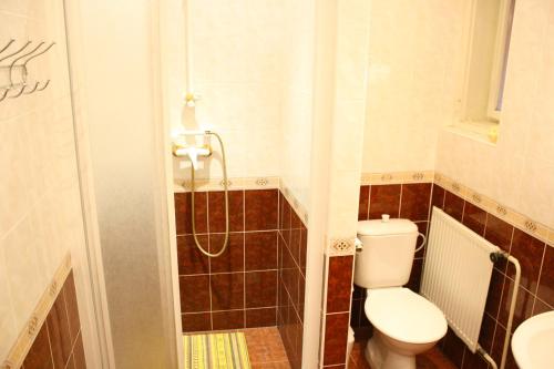 a small bathroom with a toilet and a shower at Bungalovy a ubytování Ratibořice- Zlíč in Česká Skalice