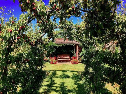 a bench in the middle of a yard with trees at Swafield Hall in Swafield