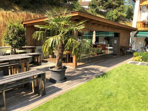 a patio with benches and a palm tree in the yard at Aparthotel Krösbacher in Fulpmes