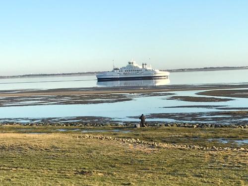 a cruise ship in the water with a man standing in front at Gulirisvej Havneby Rømø in Rømø Kirkeby