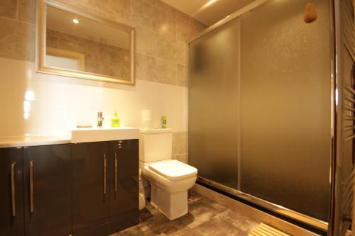 a bathroom with a toilet and a sink and a shower at Marina Humber View Apartment in Hull