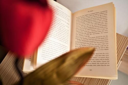 a close up of a book with a leaf at Palmira Apartments in Makry Gialos
