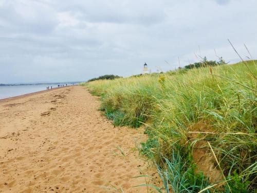 a sandy beach with a lighthouse in the distance at Tigh Na Mara Guest House Rosemarkie- breakfast optional in Rosemarkie