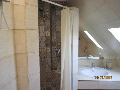 a bathroom with a shower and a sink at Villa Shafaly in Mariánské Lázně