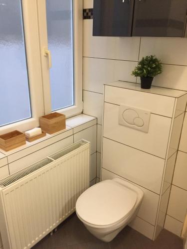 ウィーンにあるSchönbrunn Apartmentのバスルーム(植物のあるトイレ付)