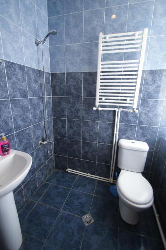 a bathroom with a toilet and a sink at Eka&Nino GuestHouse in Mestia