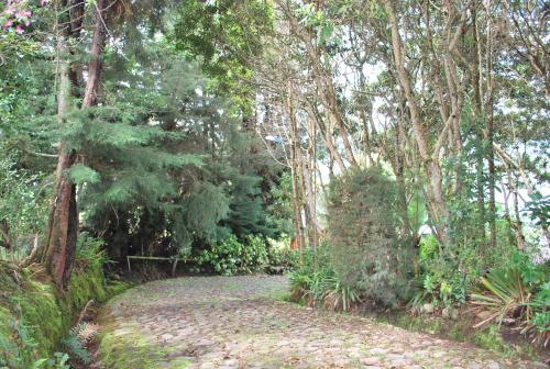 a path in a garden with trees and plants at Hermosa Cabaña en La Cocha-Finca INDIANA in El Encano