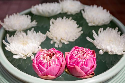 a group of pink flowers in a bowl of water at Rimping Village in Chiang Mai