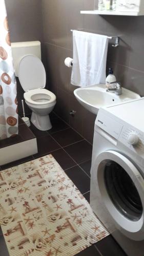 a bathroom with a washing machine and a sink at Apartment Djordje Budva-Jaz in Kukaljevina