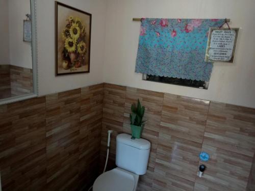 a bathroom with a toilet with a plant on top of it at Bolo Beach Santorini nearby to Hundred Island in Alaminos