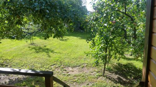 a view of a yard with two apple trees at Vasarnamis Zarasuose in Zarasai