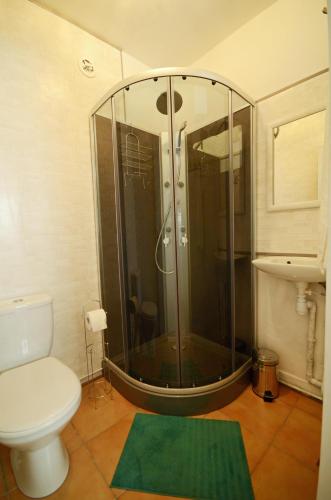 La salle de bains est pourvue d'une douche, de toilettes et d'un tapis vert. dans l'établissement La petite soixante deux, à Le Lonzac
