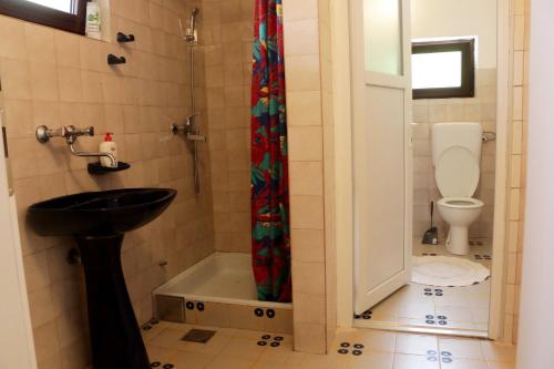 un bagno con lavandino, WC e doccia di Villa San a Blagaj
