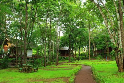a path through a forest with a house and a picnic table at Tadlo Lodge in Ban Nongtoung