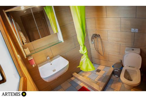 a small bathroom with a sink and a toilet at Medusa Gorgon in Develíkia