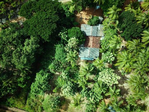 an overhead view of a garden with trees and bushes at Sigiriya Lahiru Homestay in Sigiriya