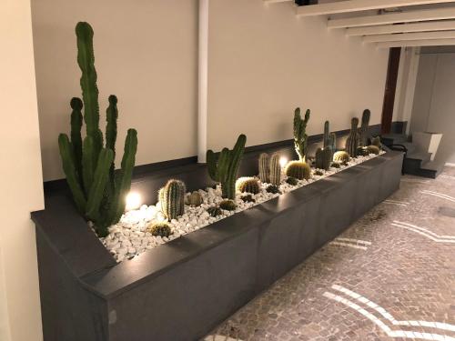 a row of cacti and plants in a room at Hotel Smeraldo in Qualiano