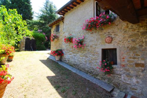 Villa Gioiosa – Photos 5