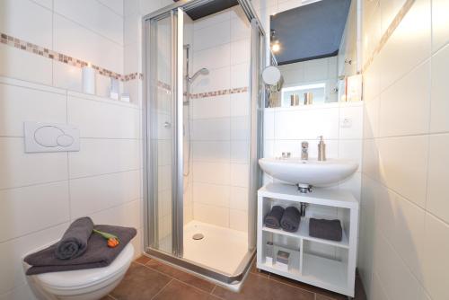 a bathroom with a shower and a toilet and a sink at Sonnenstern in Riezlern