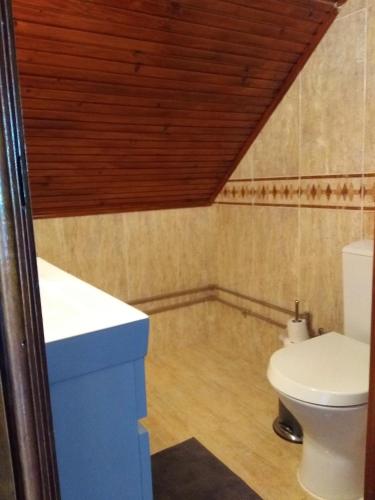 a bathroom with a toilet and a wooden ceiling at Casas do Caminho Velho in Ribeira de Pena