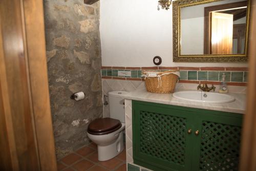 bagno con servizi igienici, lavandino e specchio di Cortijo Don Pablo a San Pablo