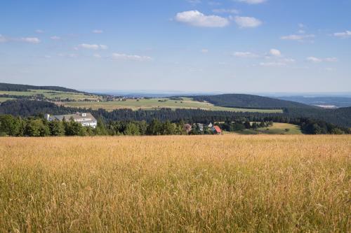 a field of tall grass with a house in the distance at Werrapark Resort Hotel Frankenblick in Masserberg