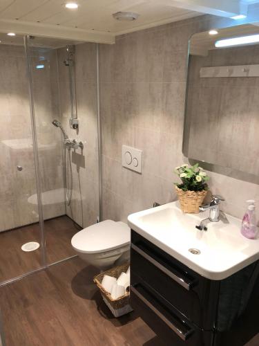 a bathroom with a toilet and a sink and a shower at Olsens Pensjonat in Veiholmen
