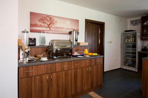 a kitchen with wooden cabinets and a counter top at Penzion Amálka in Třeboň