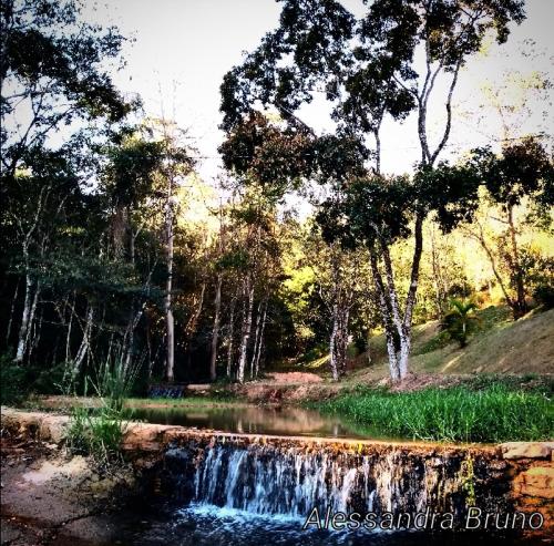 a waterfall in the middle of a pond with trees at Hotel Pousada Riacho da Areia in Águas de Lindóia