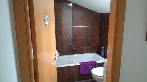 a bathroom with a bath tub and a toilet at Atico en centro Ribes de Freser in Ribes de Freser