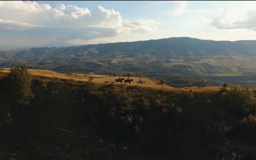 a group of horses standing on top of a hill at B&B La Dimora del Contadino in Pietrapertosa