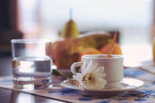 a cup of coffee and a flower on a table at B&B La Dimora del Contadino in Pietrapertosa