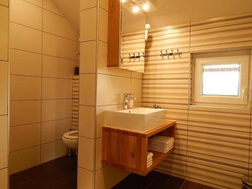 a bathroom with a sink and a toilet at Studio apartman Lakasa in Rakovica