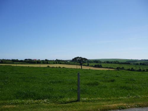 a pole in the middle of a green field at The Brown Hen Guest Accommodation in Bandon