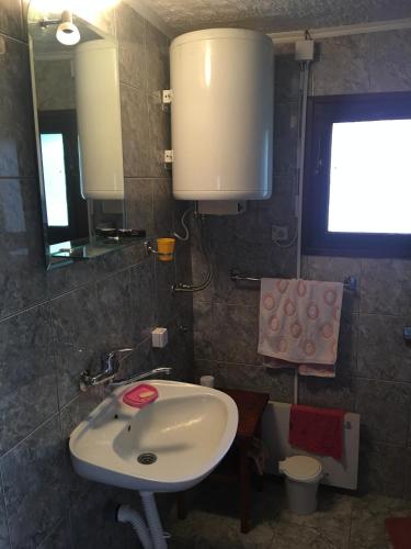 a bathroom with a sink and a mirror at Vikendica na Zlatiboru in Zlatibor