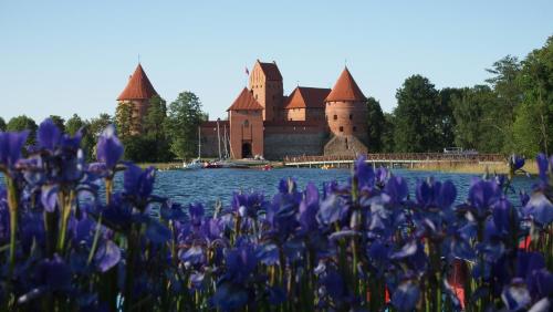 un castillo con flores púrpuras delante de él en Cozy apartment in Trakai, en Trakai